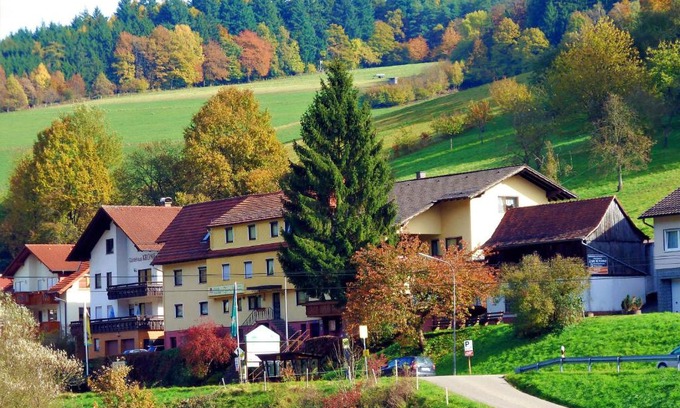 Gammelsbach Hotel | Discover Hotel Gasthof Zur Krone: Family-Friendly Comfort