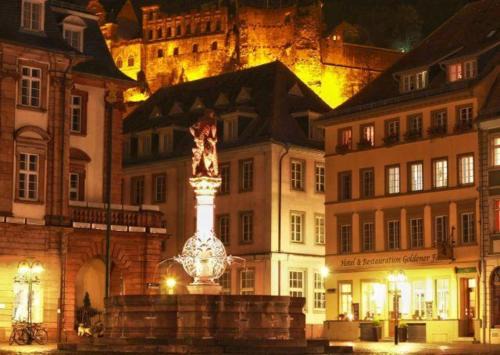 Heidelberg City Centre Hotel | Comfortable Stay at Hotel Goldener Falke with Family Amenities