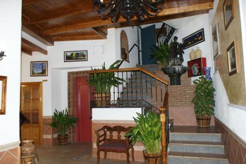 Guejar Sierra Hotel | Discover Hotel Juan Francisco: Oceanfront Retreat Awaits