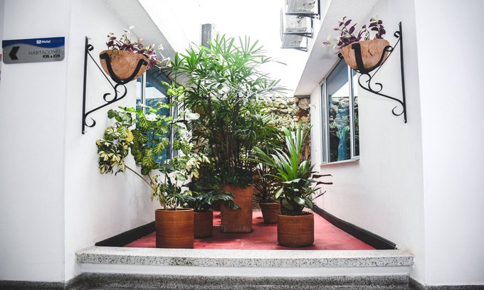 Florencia Hotel | Discover Hotel Kamani Florencia: Family-Friendly Retreat
