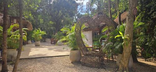 Tulum House | Discover Hotel Kin Tulum Jungle Deluxe: Oceanfront Retreat