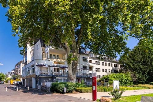Mitte Hotel | Pet-Friendly Hotel Kleiner Riesen with Hot Tub Amenities