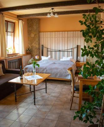 Uherske Hradiste Hotel | Discover Hotel Koníček: Rated 9/10 with Pet-Friendly Amenities