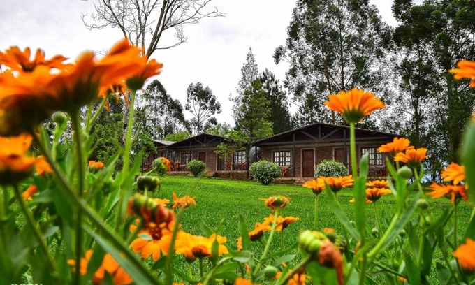 Jardin America Hotel | Budget-Friendly Hotel Las Azaleas with Family Amenities