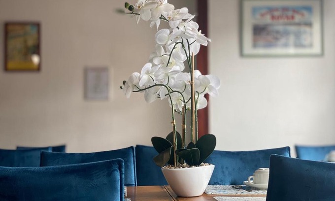 Royan Hotel | Inviting Hotel le Pasteur: Family-Friendly with Breakfast