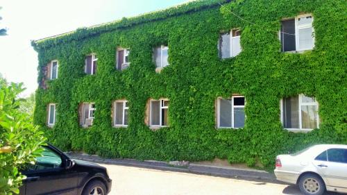 Tbilisi Hotel | Budget-Friendly Hotel Lilo: Pet Friendly & Near Airport