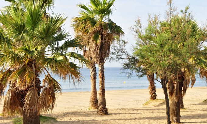 Frejus Port Hotel | Relax at Hotel Méditerranée with Pool & Breakfast Options