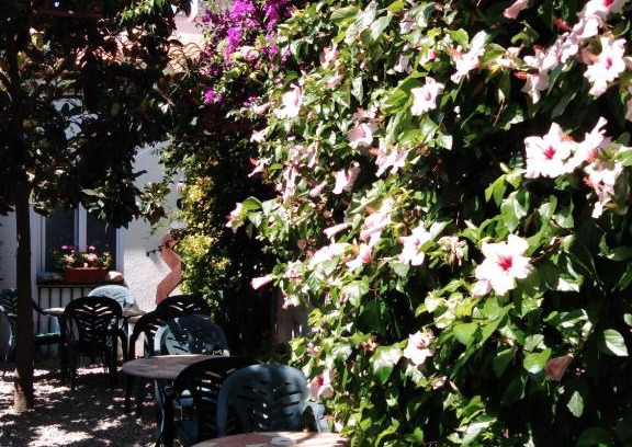 Canet de Mar Hotel | Pet-Friendly Hotel Mitus with Oceanfront Views