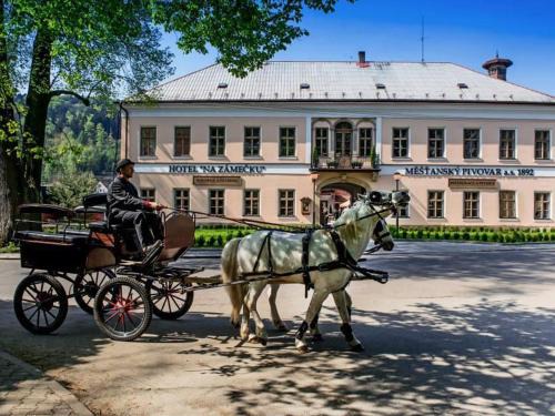 Usti nad Orlici Hotel | Discover Hotel Na Zámečku: Family-Friendly Dining Awaits