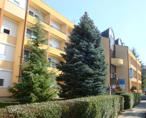 Heviz Apartment | Discover Hotel Napsugar: Pet-Friendly with Breakfast & Hot Tub