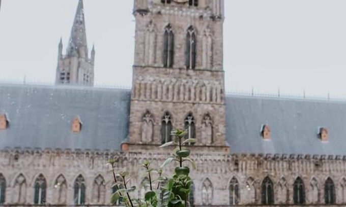 Ypres Hotel | Cozy Retreat at Hotel New Regina with Family-Friendly Amenities