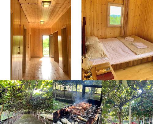 Zeda Gordi House | Pet-Friendly Hotel Okatsia with Top Guest Rating of 9.4