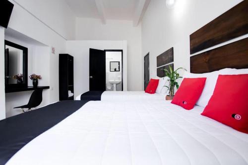 Atlixco Hotel | Pet-Friendly Getaway at Hotel Pósada Maria Isabel