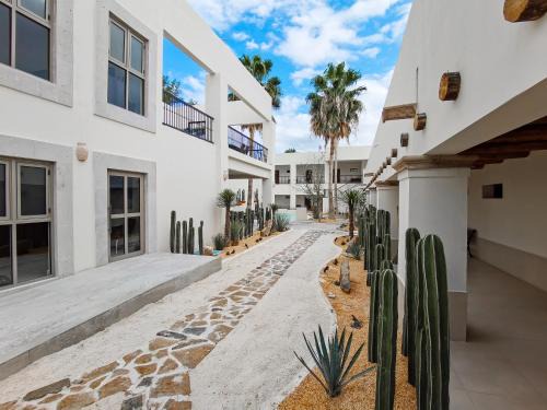 Cuatro Cienegas Hotel | Unforgettable Stays at Hotel Plaza Cuatro Ciénegas