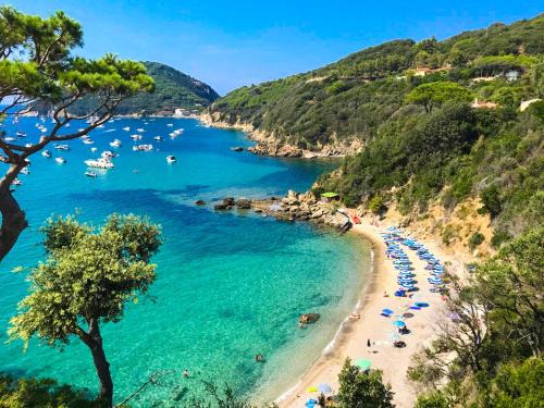 Portoferraio Hotel | Discover Hotel Paradiso: Oceanfront Oasis with Pool