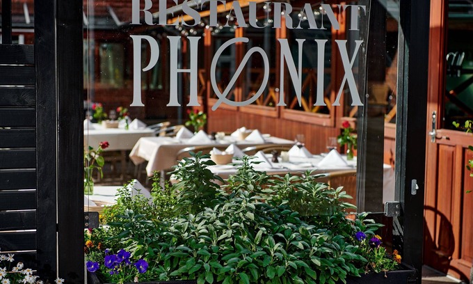 Holstebro Hotel | Discover Comfort at Hotel Phønix with Family-Friendly Perks