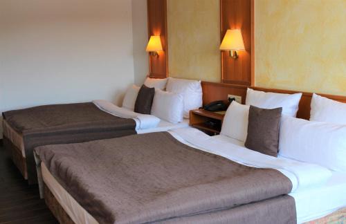 Ramstein-Miesenbach Hotel | Pet-Friendly Retreat at Hotel Pirsch: Family Friendly Stay