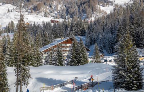 Corvara in Badia Hotel | Discover Hotel Planac: Pet-Friendly Retreat with Spa & Dining