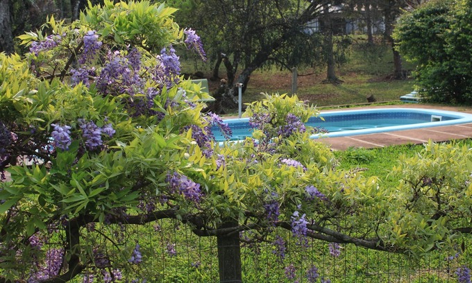 Nova Petropolis Hotel | Relax at Hotel Pousada dos Plátanos with Pool & Spa