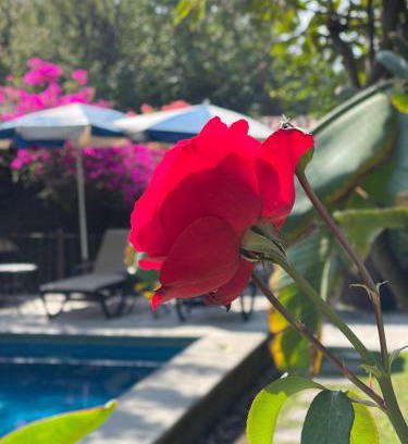 Santa Maria Hotel | Discover Hotel Quinta Real Las Palmas Malinalco Getaway