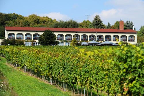 Großjena Hotel | Inviting Hotel Rebschule: Pet-Friendly & Family Amenities