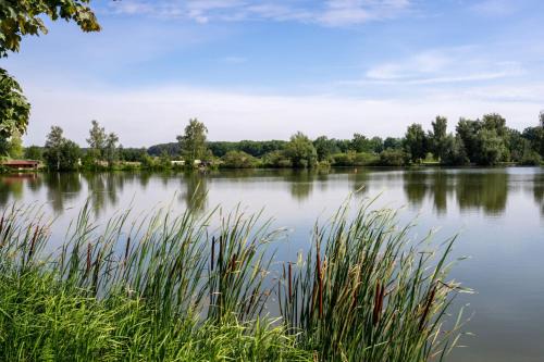 Gunzenhausen House | Pet-Friendly Retreat at Hotel Reich am Schnackensee