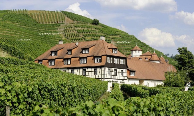 Steinbach Hotel | Inviting Hotel Residenz im Schloss Neuweier with Family Amenities