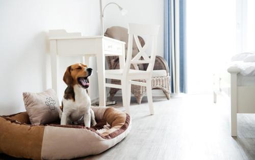 Elisabeth-Sophien-Koog Hotel | Discover Pharisäerhof: Pet-Friendly Getaway by the Sea