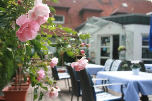 Niederweimar Hotel | Discover Hotel-Restaurant Fasanerie: Oceanfront Bliss Awaits