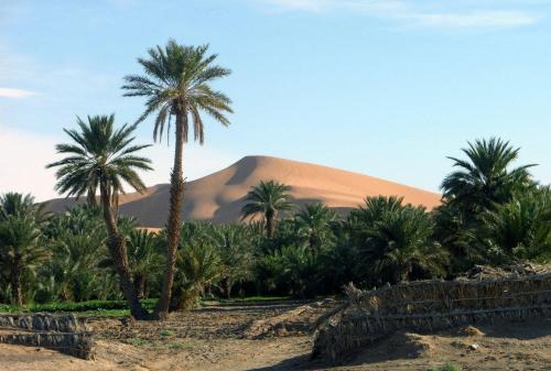 Hassilabied Bed & Breakfast | Pet-Friendly Retreat at Hotel Riad Oasis - Rated 9.5/10