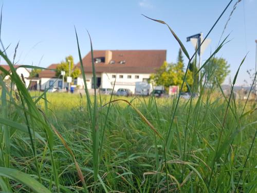 Reicheneck House | Budget-Friendly Guest Houses Throughout Germany Await You