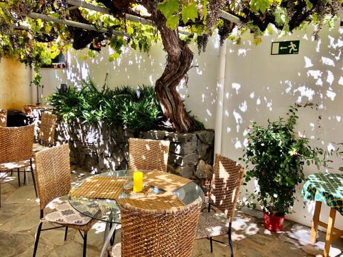 Vilaflor House | Welcoming Hotel Rural Vilaflor with 24h Self Check-In