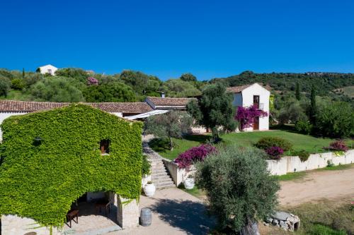 Tortoli Hotel | Discover Hotel S'Abba e Sa Murta: Pet Friendly with Pool