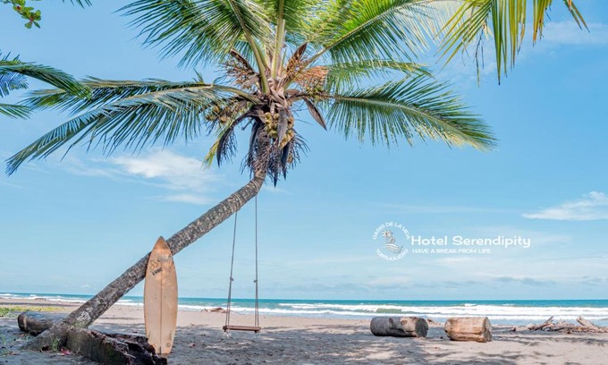 Tortuguero Hotel | Discover Hotel Serendipity: 4-Star Retreat with Dining