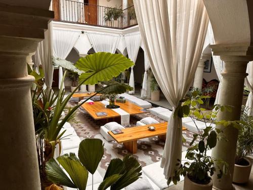 Centro Hotel | Experience Oceanfront Luxury at Hotel Sin Nombre
