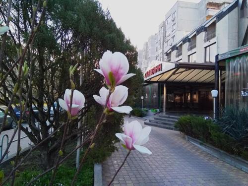 Dimitrovgrad Hotel | Cozy Hotel Slaviani: Breakfast & Hot Tub Await You