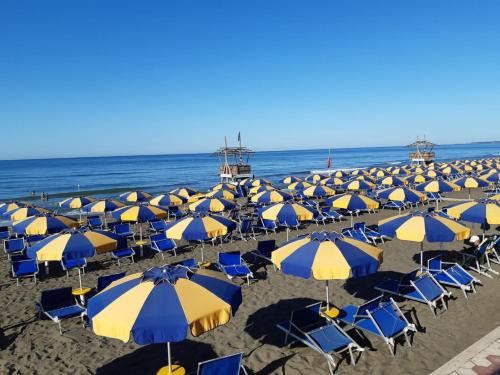 Lido di Capo Portiere Hotel | Discover Hotel Tirreno: Oceanfront Retreat with Great Amenities