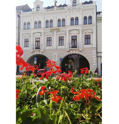 Zatec Hotel | Discover Hotel Zlatý Anděl: Family-Friendly Comfort Awaits
