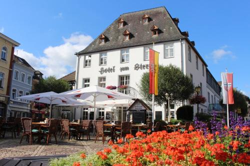 Ahrweiler Hotel | Discover Comfort at Hotel Zum Stern: Pet-Friendly Stay