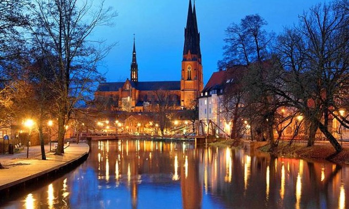 Uppsala Hotel | Hotel Stella: Family-Friendly Retreat with Pet Amenities