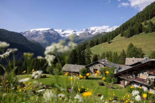 Mascognaz Hotel | Experience Serenity at Hotellerie De Mascognaz - 4 Stars