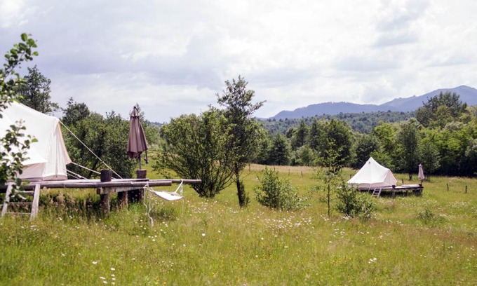 Ocna Sugatag Other | Discover Hotelul de Bumbac-Crapul Furios: Pet-Friendly Retreat