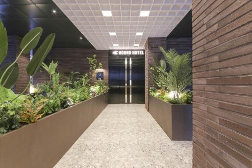 Haga-ri Hotel | Budget-Friendly Stay at Hound Hotel Jeonju Deokjin