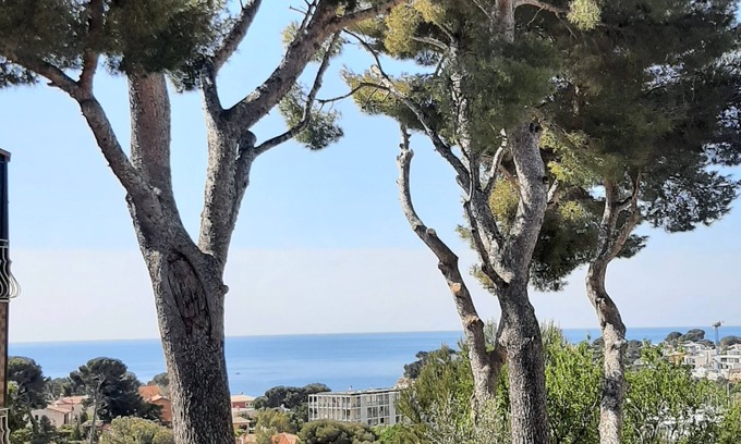 Carry-le-Rouet House | Idyllic Retreat by the Sea Surrounded by Tall Pines