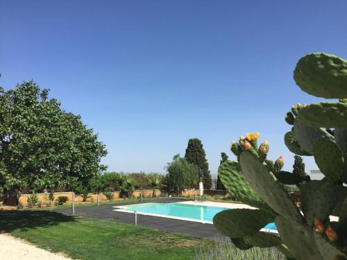 Caltanissetta House | Discover Calafato e Testasecca: 4-Star Oceanfront Oasis