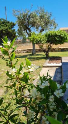 Castiadas House | Experience House Castiadas: Oceanfront Bliss Awaits