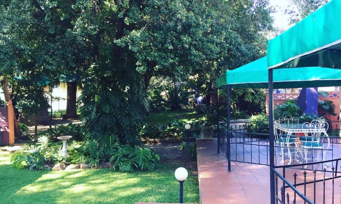 Newcastle House | Pet Friendly House Ebony B&B with Pool & Breakfast