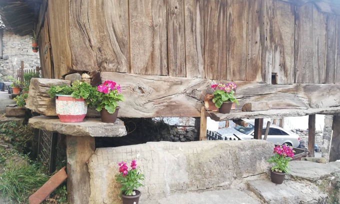 Aller House | Cozy House in Asturias: Perfect for Families and Pets