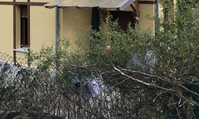 Pesues House | House in Pesués (Val de San Vicente)