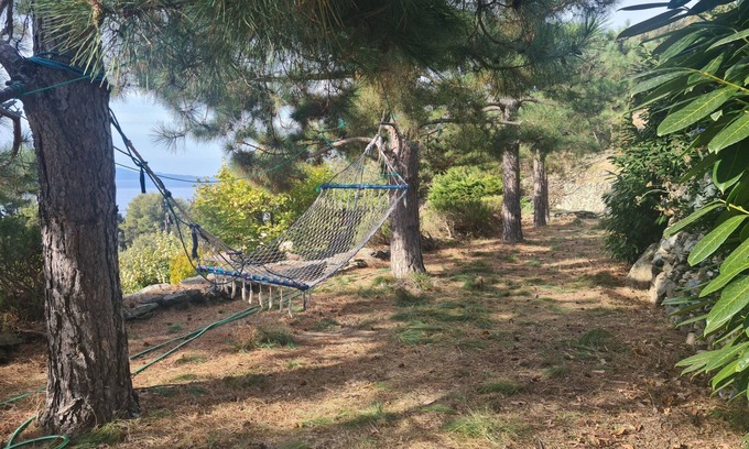 Nonza House | Nature Retreat: 5 Minutes to Beach with Pool & Ocean Views